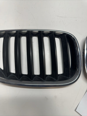 2004 - 2006 BMW X5 Front Passenger/Driver Grill Center Upper Hood Grille