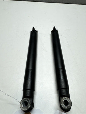 04 05 06 BMW X5 E53 REAR TRUNK LOWER TAIL GATE GAS SHOCKS STRUTS OEM D 165A