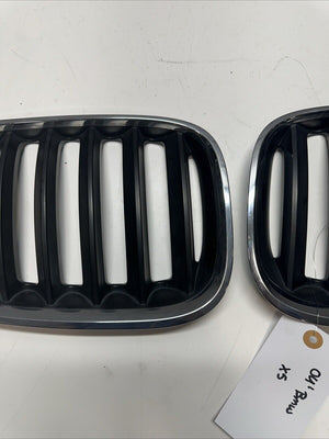 2004 - 2006 BMW X5 Front Passenger/Driver Grill Center Upper Hood Grille