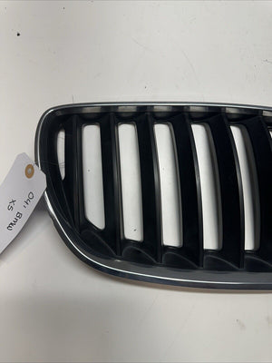 2004 - 2006 BMW X5 Front Passenger/Driver Grill Center Upper Hood Grille