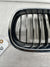 2009-2010 BMW 528I XDRIVE - Front LEFT Bumper Grille 7027061